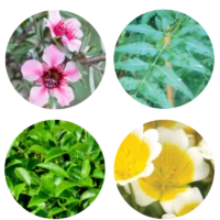 CP Anti-Aging Complex